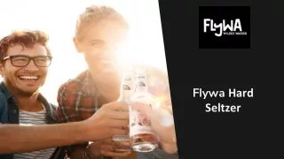 Flywa Hard Seltzer
