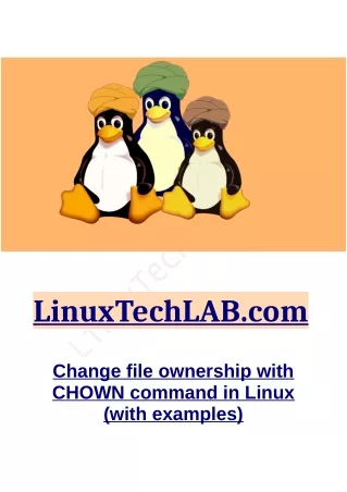 linuxtechlab com