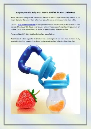 Baby Fruit Feeder Pacifier