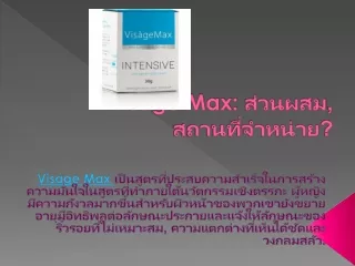 ผู้เชี่ยวชาญของ Visage Max: