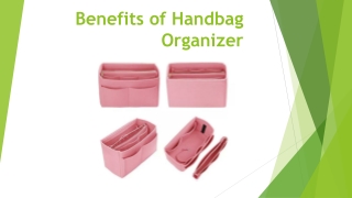 Benefits of Handbag Organizer