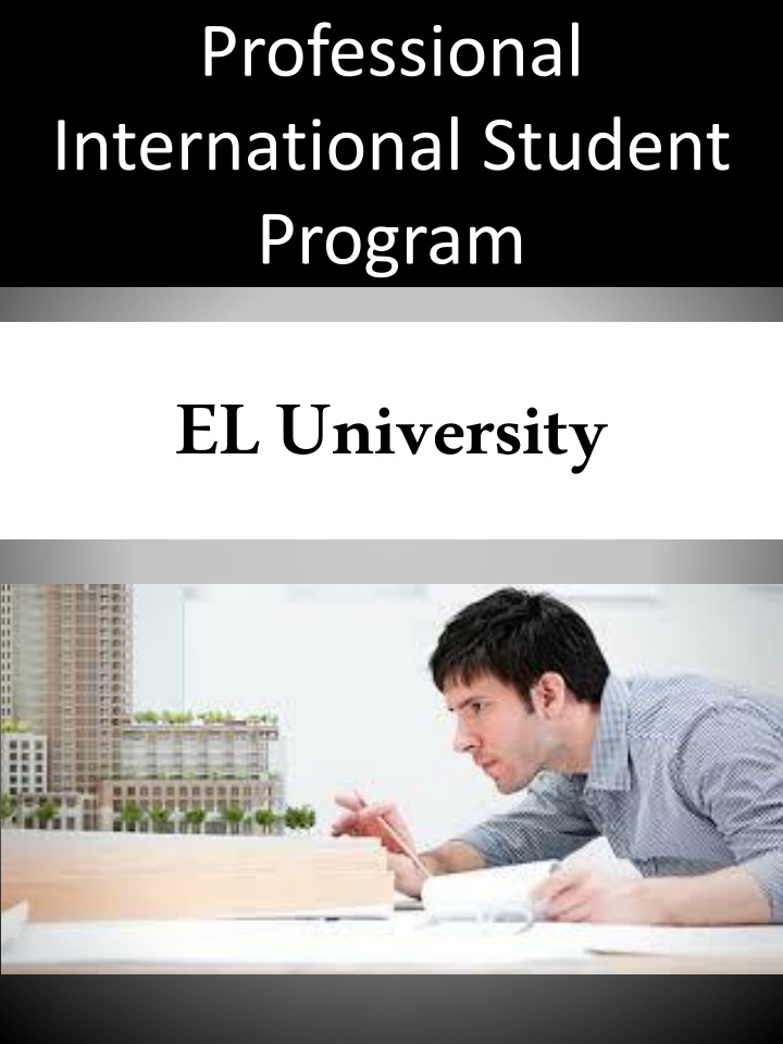 professional international student program