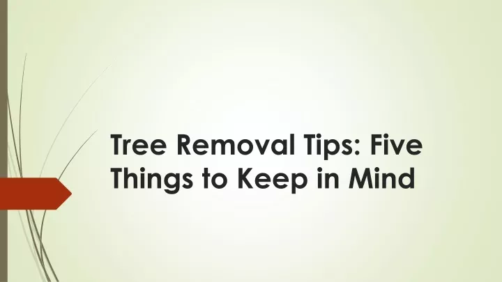 tree removal tips five things to keep in mind