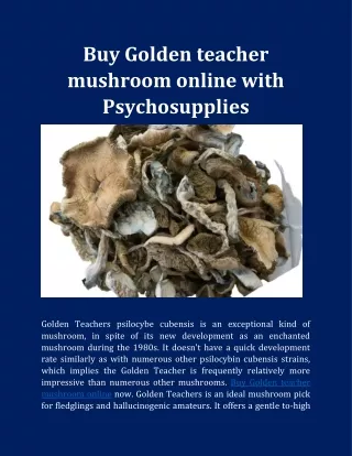 Buy Golden teacher mushroom online with Psychosupplies