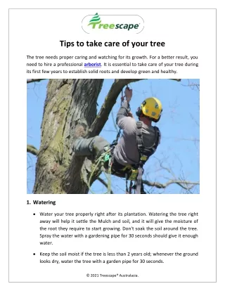 Tips to take care of your tree