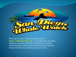 book trip of 3 hour whale watching cruise