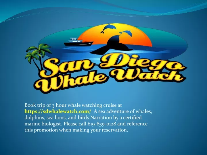 book trip of 3 hour whale watching cruise