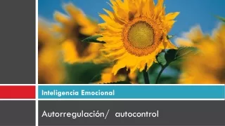 inteligencia emocional