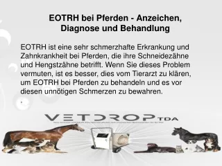 EOTRH bei Pferden - Anzeichen, Diagnose und Behandlung