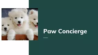 Global white glove animal courier service