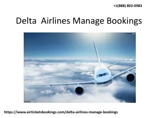 Delta  Airlines flight bookings management