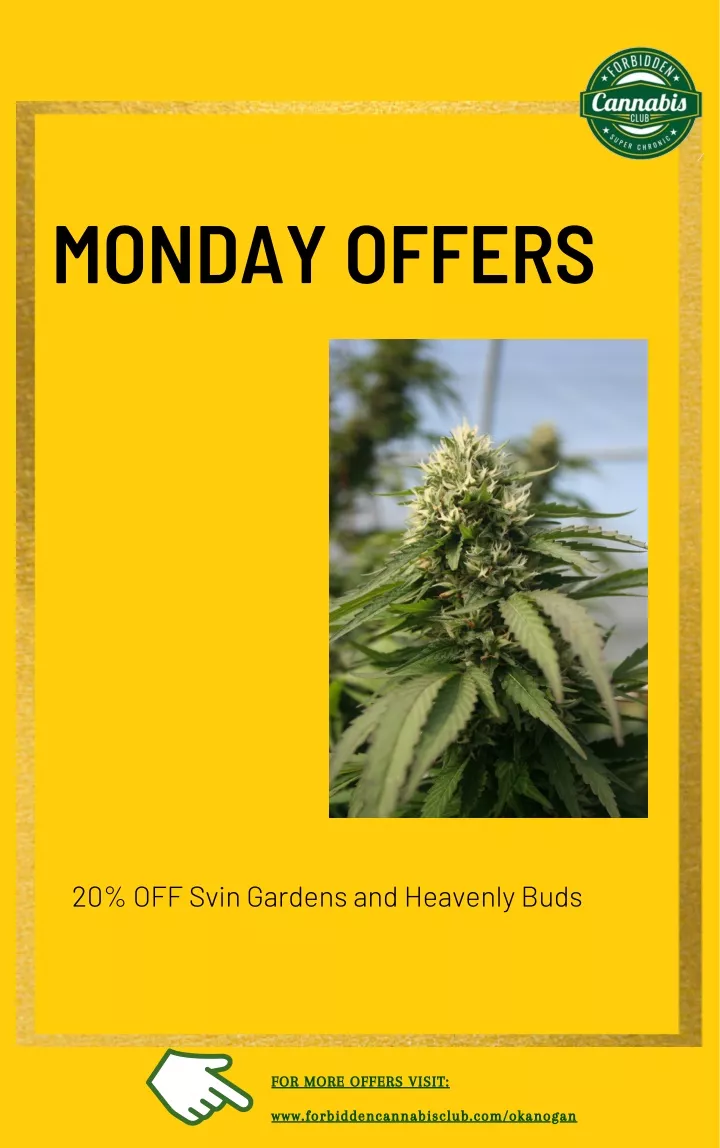 monday offers