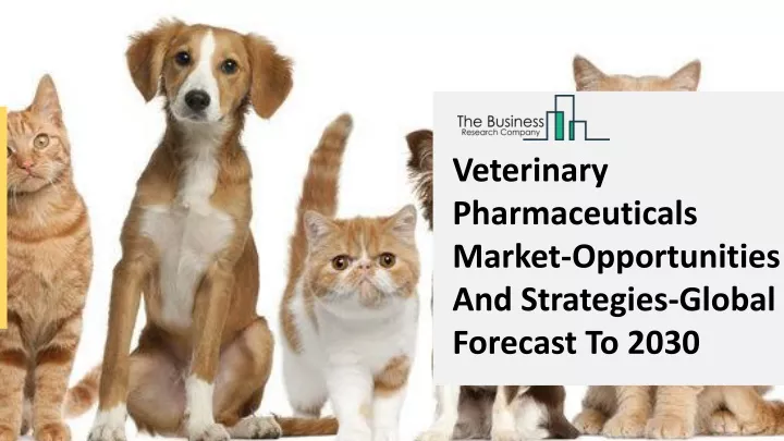 veterinary pharmaceuticals market opportunities