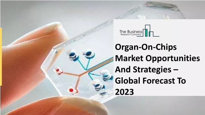 organ on chips market opportunities