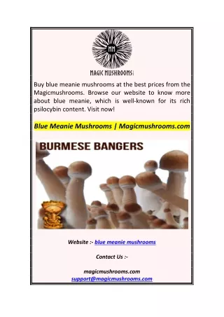 buy blue meanie mushrooms at the best prices from