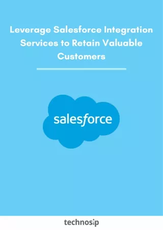 leverage salesforce integration services