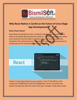 Why React Native is Careful as the Future of Cross Stage App Development PDF SUB -7