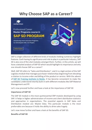 why choose sap as a career