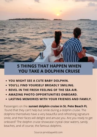 5 THINGS THAT HAPPEN WHEN YOU TAKE A DOLPHIN CRUISE