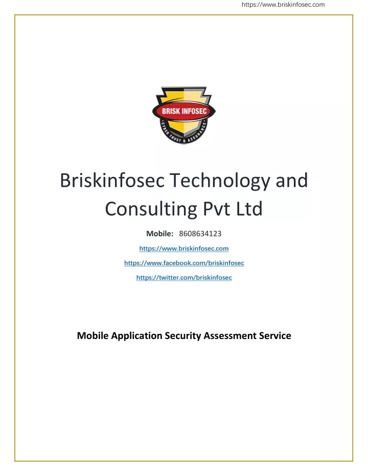 https www briskinfosec com