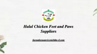 Get Halal Chicken Feet and Paws Suppliers