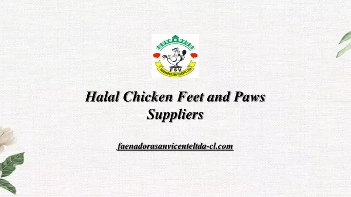 halal chicken feet and paws suppliers