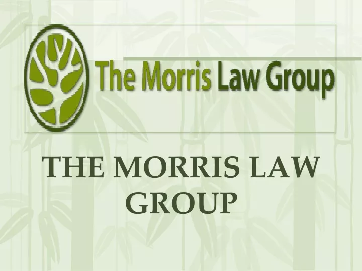 the morris law group