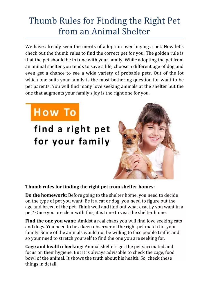 thumb rules for finding the right pet from