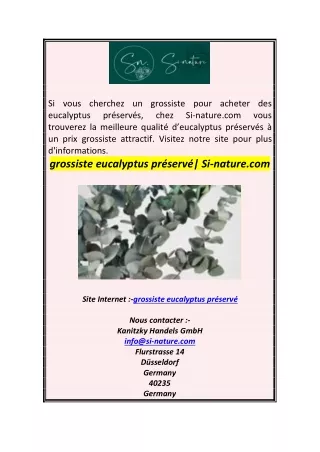 grossiste eucalyptus préservé Si-nature.com