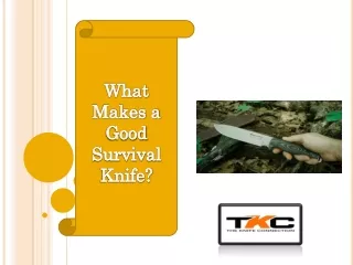 What Makes a Good Survival Knife