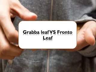 Grabba leaf VS Fronto Leaf