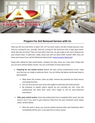 prepare for ant removal service with us