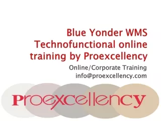 Blue Yonder WMS Technofunctional online training by Proexcellency