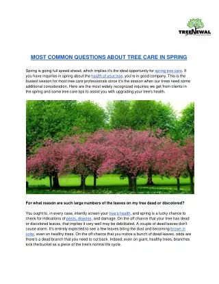 most common questions about tree care in spring