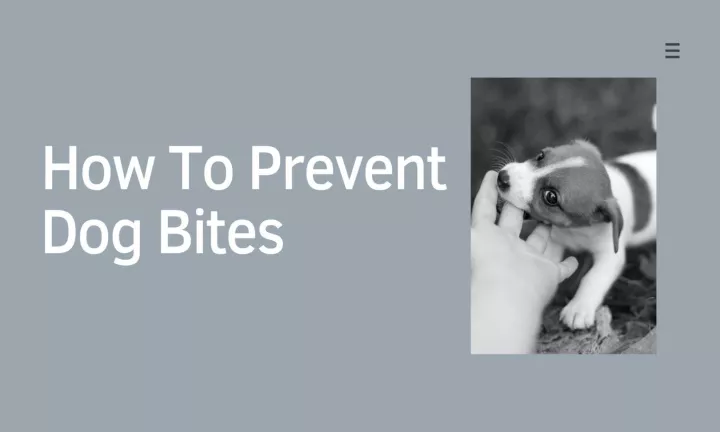 PPT - How To Prevent Dog Bites PowerPoint Presentation, free download ...