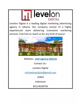 levelon digital is a leading digital marketing