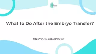 What to Do After the Embryo Transfer?