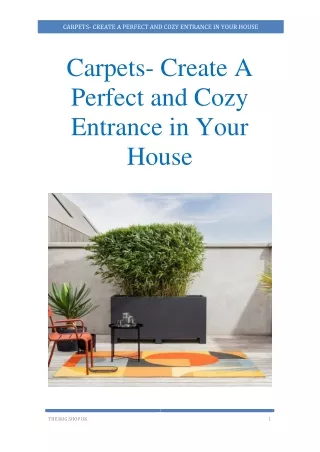 carpets create a perfect and cozy entrance