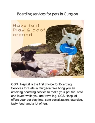 boarding services for pets in gurgaon boarding