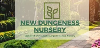 Port Angeles Nurseries- Get the Best for Your Garden