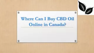 Where Can I Buy CBD Oil Online in Canada