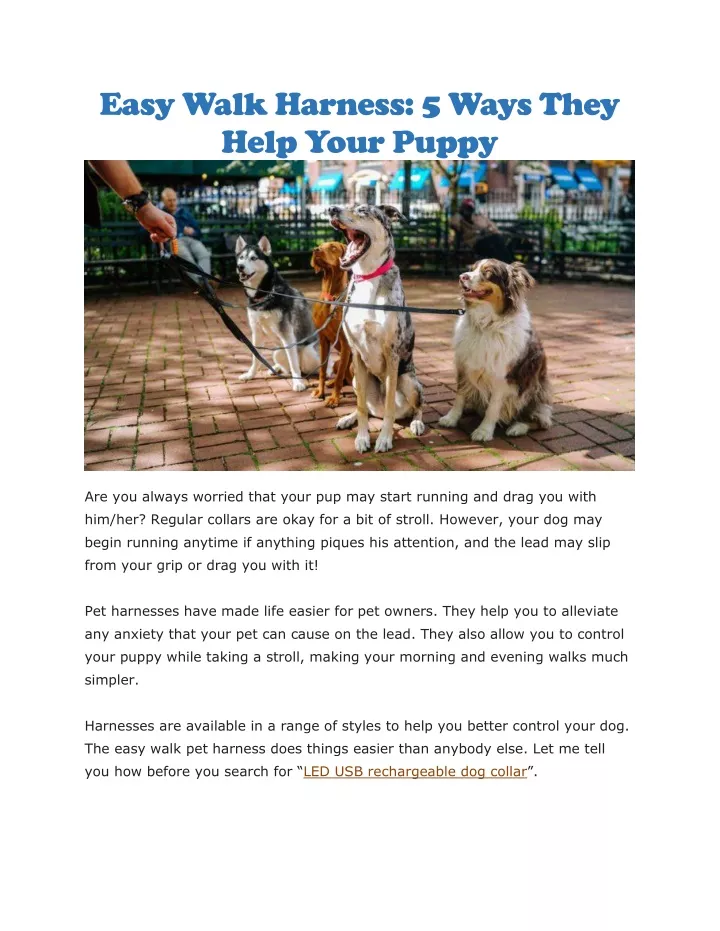 easy walk harness 5 ways they help your puppy