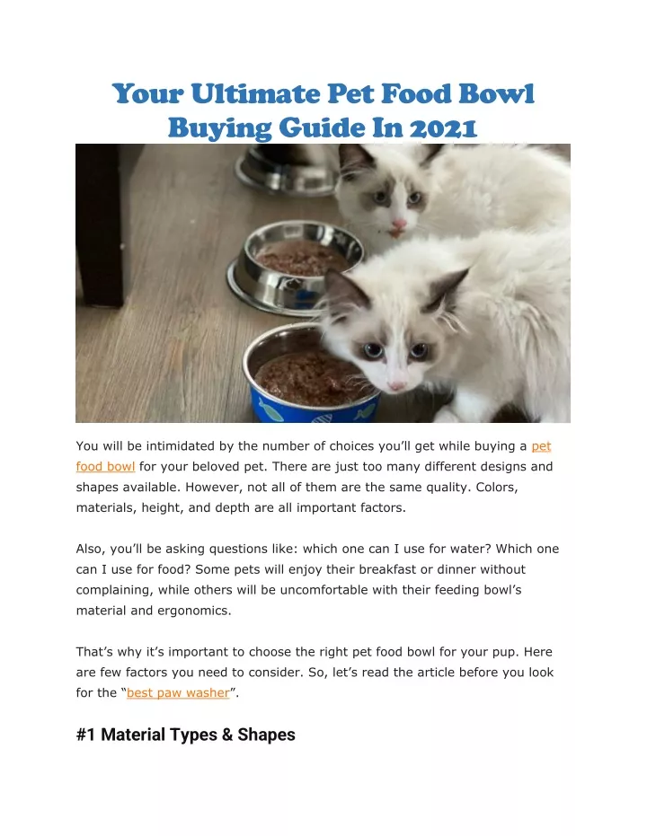 your ultimate pet food bowl buying guide in 2021