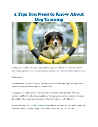 Best dog training collars