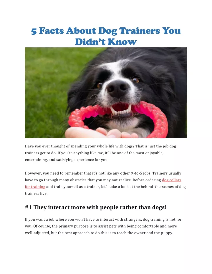 5 facts about dog trainers you didn t know