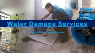 EFFICIENT EMERGENCY WATER CLEANUP SERVICES