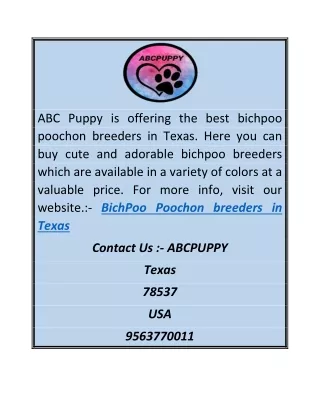 abc puppy is offering the best bichpoo poochon