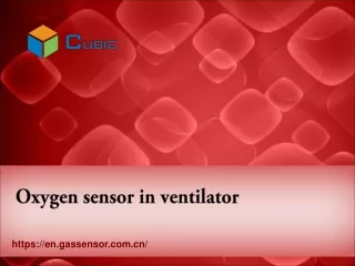 Oxygen sensor in ventilator