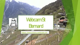 Webcam St Bernard | WebCam Sommet Des Vignes