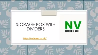 Storage Box With Dividers
